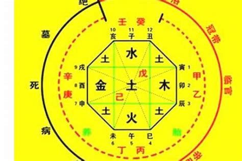 喜用神分析|生辰八字算命、五行喜用神查询（免费测算）